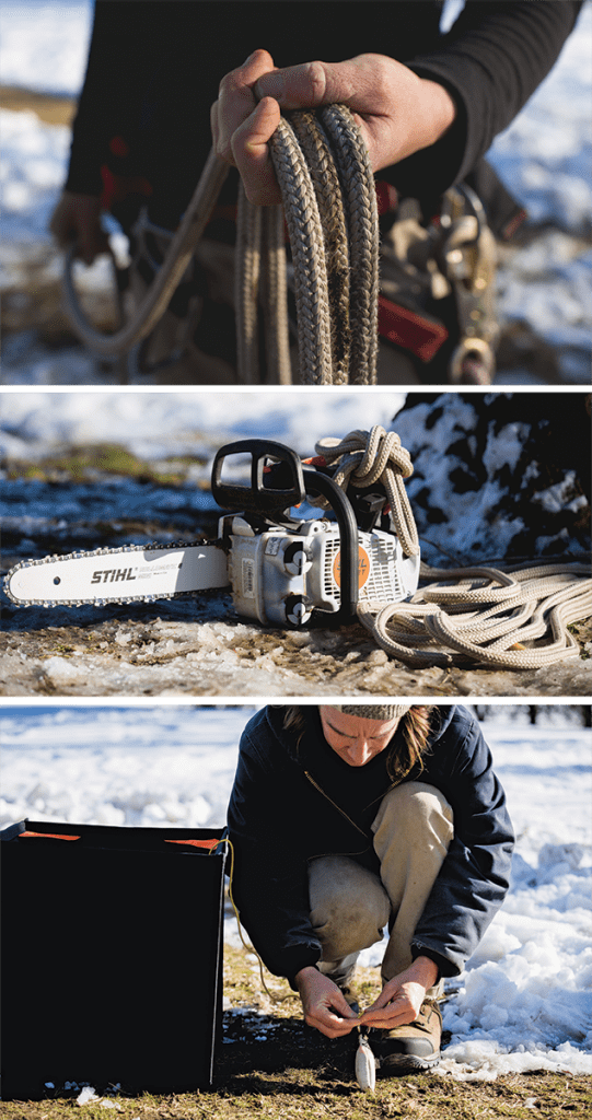 In the Canopy with Arborist Laura Mele - ArborTech Tree Services