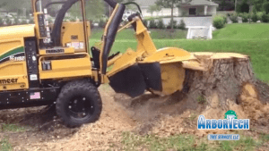 ArborTech Tree Services, LLC gallery 9