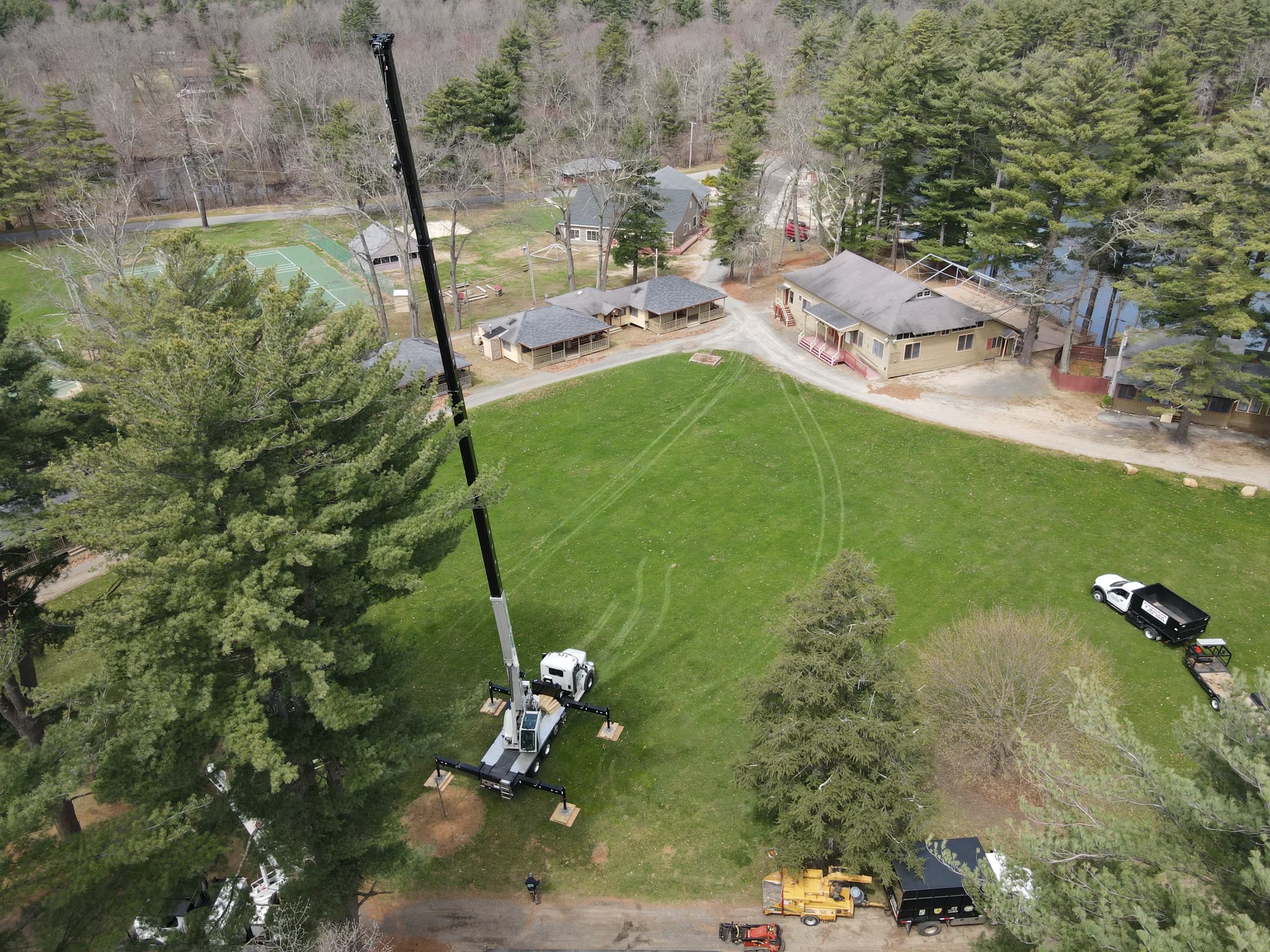 Tree Services West Springfield MA - ArborTech Tree Services