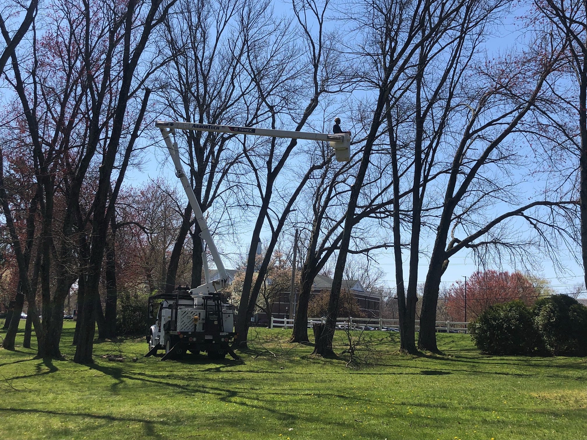 Tree Services Chicopee MA ArborTech Tree Services